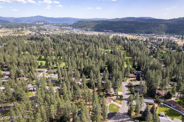 3519 W Pineridge Dr, Coeur Dalene, ID 83815 - photo 13
