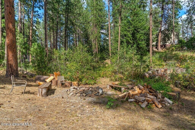 3519 W Pineridge Dr, Coeur Dalene, ID 83815 - photo 54