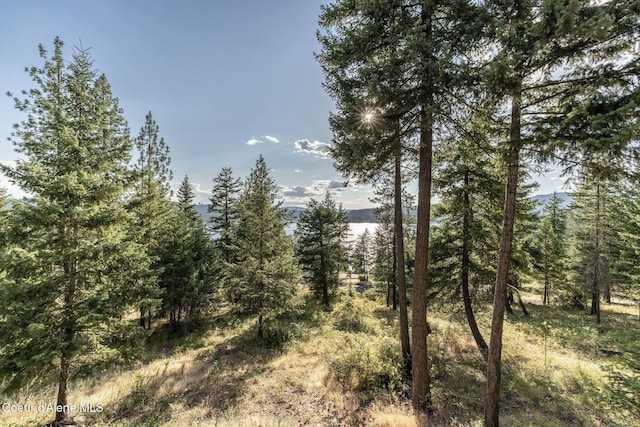 16749 W Cade Rd, Hauser, ID 83854 - view of wooded area
