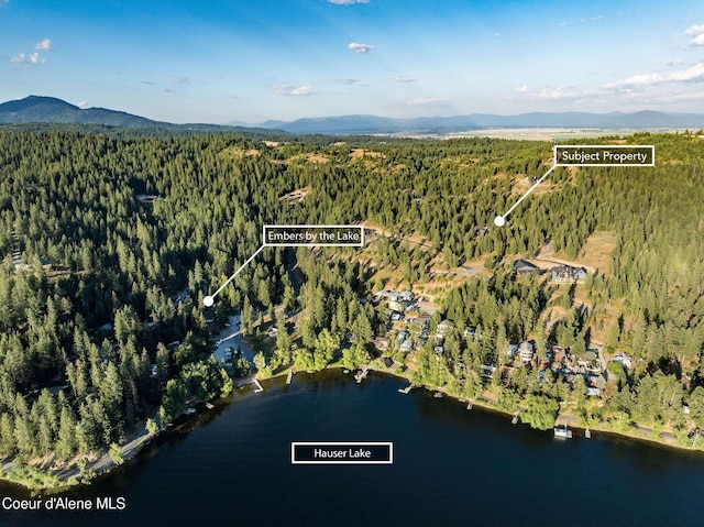 16749 W Cade Rd, Hauser, ID 83854 - aerial view of property and surrounding area featuring a water and mountain view and property parcel outlined