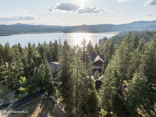 16749 W Cade Rd, Hauser, ID 83854 - bird's eye view of a water and mountain view and a forest