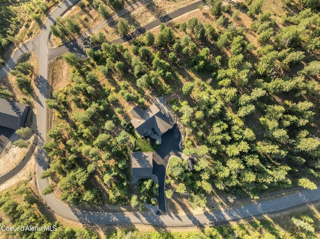 16749 W Cade Rd, Hauser, ID 83854 - aerial view of property's location