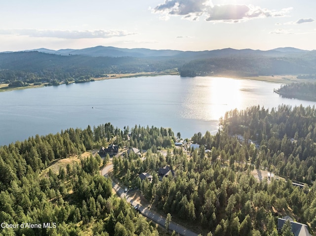 16749 W Cade Rd, Hauser, ID 83854 - aerial view of a water and mountain view and a heavily wooded area