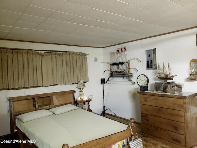 701 N Pine St, Clark Fork, ID 83811 - bedroom with electric panel