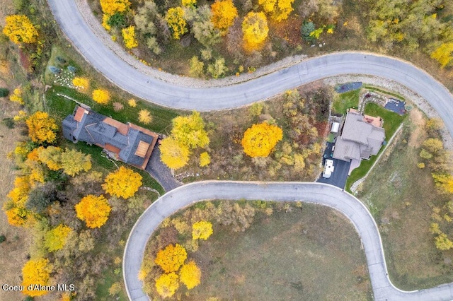 116 Prospector Lp, Kellogg, ID 83837 - bird's eye view