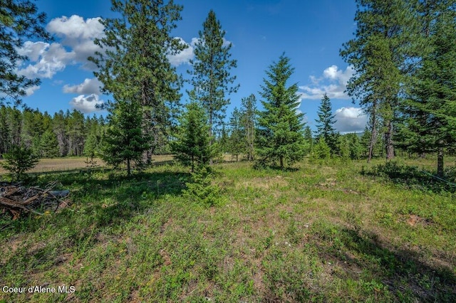 NKA Paradox Rd, Oldtown, ID 83822
