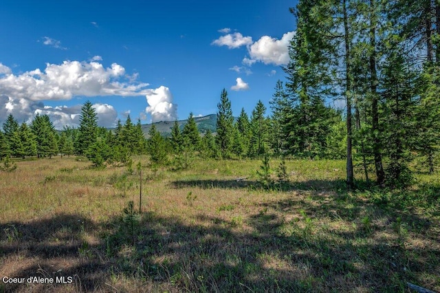 NKA Paradox Rd, Oldtown, ID 83822