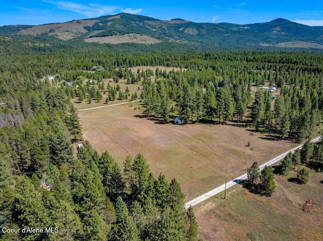 NKA Paradox Rd, Oldtown, ID 83822