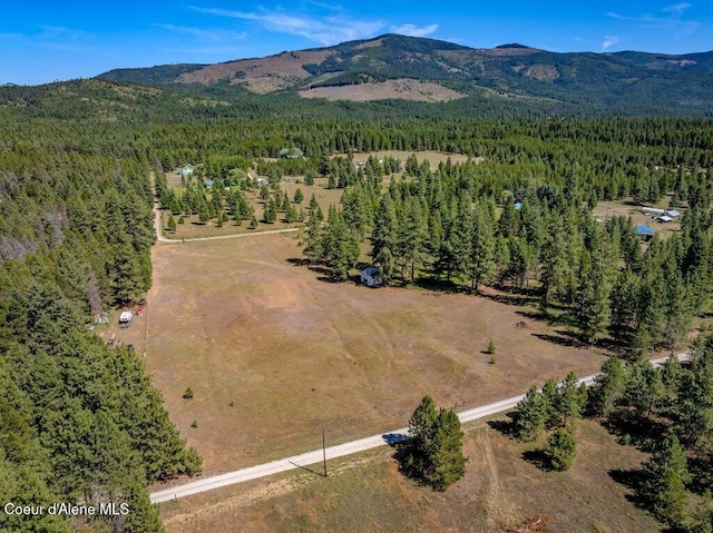 NKA Paradox Rd, Oldtown, ID 83822