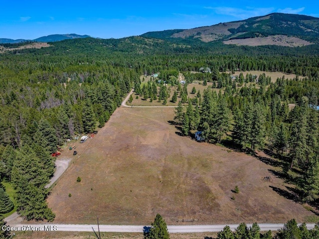 NKA Paradox Rd, Oldtown, ID 83822
