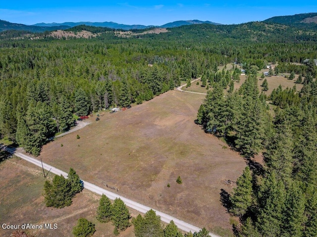 NKA Paradox Rd, Oldtown, ID 83822