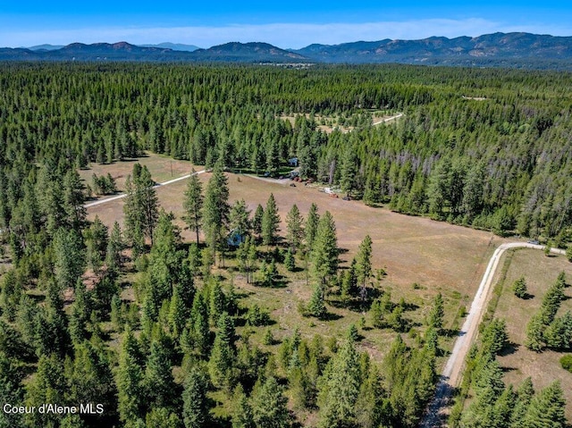 NKA Paradox Rd, Oldtown, ID 83822