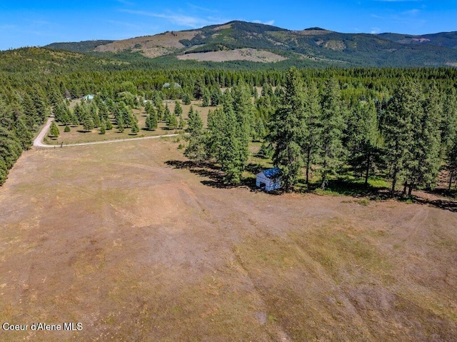 NKA Paradox Rd, Oldtown, ID 83822