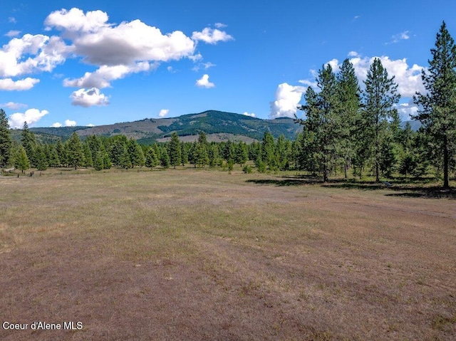 NKA Paradox Rd, Oldtown, ID 83822
