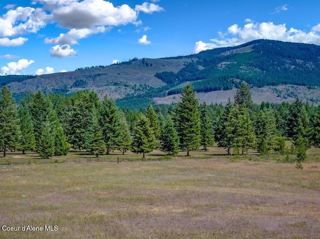 NKA Paradox Rd, Oldtown, ID 83822