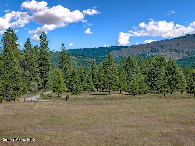 NKA Paradox Rd, Oldtown, ID 83822