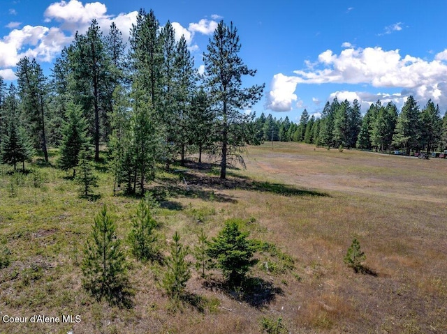 NKA Paradox Rd, Oldtown, ID 83822