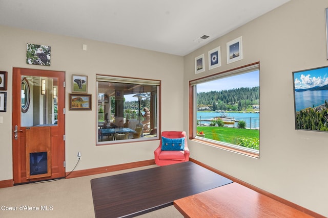 4699 W Mill River Ct, Coeur Dalene, ID 83814 - photo 45