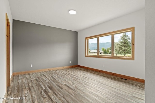 24 Bellflower, Blanchard, ID 83804 - spare room with wood finished floors