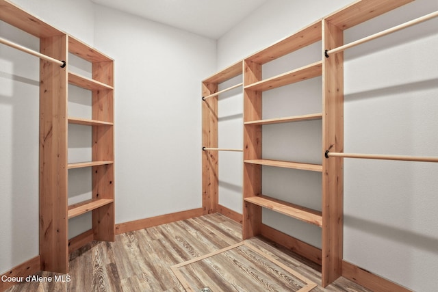24 Bellflower, Blanchard, ID 83804 - spacious closet with wood finished floors