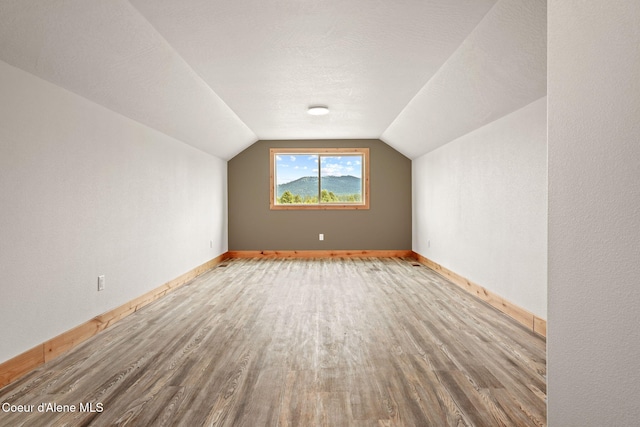 24 Bellflower, Blanchard, ID 83804 - bonus room featuring wood finished floors and vaulted ceiling