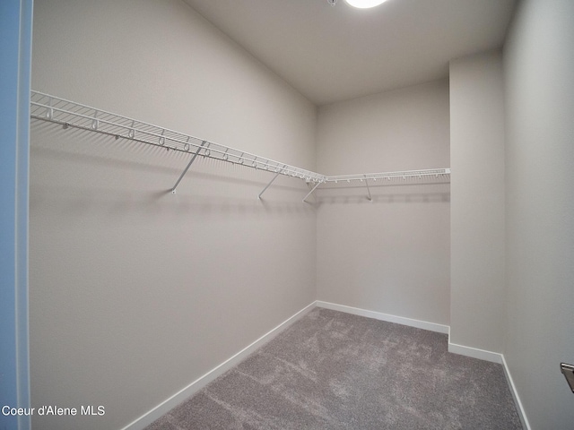 962 E Railroad Ave, Post Falls, ID 83854 - spacious closet featuring carpet flooring