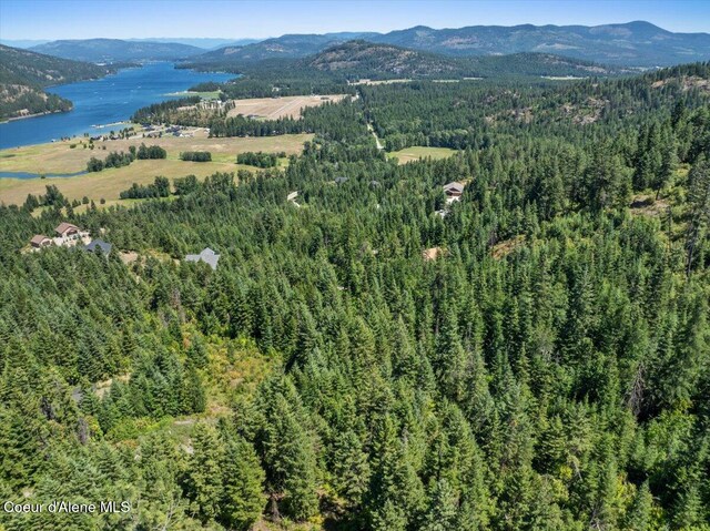 LOT17 Morning Star Mountain Rd, Priest River, ID 83856 - photo 3