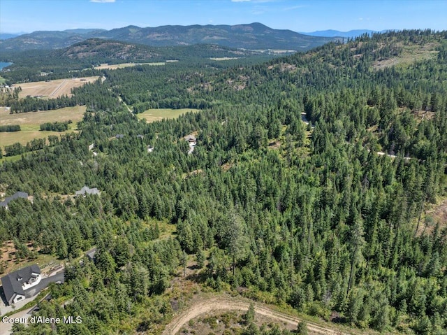 LOT17 Morning Star Mountain Rd, Priest River, ID 83856 - photo 4