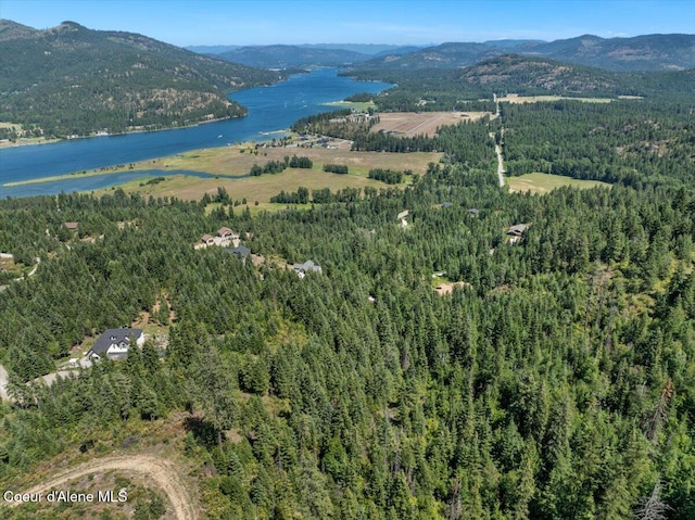 LOT17 Morning Star Mountain Rd, Priest River, ID 83856 - photo 5
