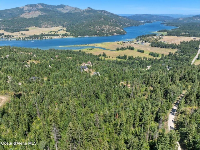 LOT17 Morning Star Mountain Rd, Priest River, ID 83856 - photo 6