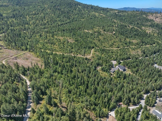 LOT17 Morning Star Mountain Rd, Priest River, ID 83856 - photo 8