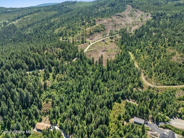 LOT17 Morning Star Mountain Rd, Priest River, ID 83856 - photo 10