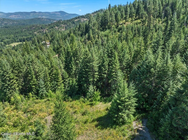 LOT17 Morning Star Mountain Rd, Priest River, ID 83856 - photo 11