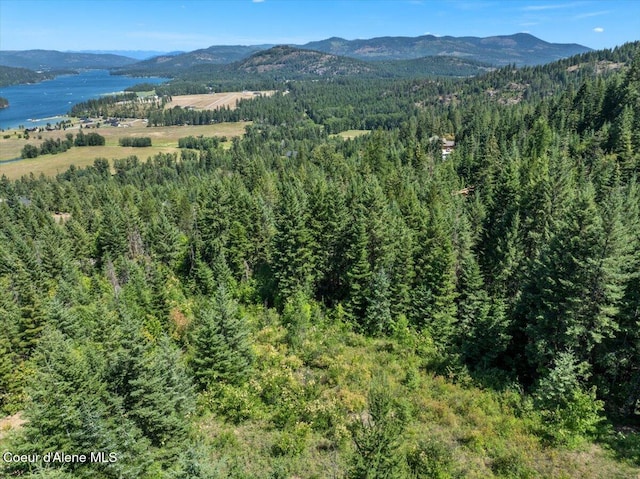 LOT17 Morning Star Mountain Rd, Priest River, ID 83856 - photo 12