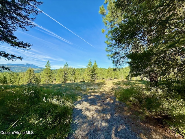 869 Eagle Ridge Ln, Kingston, ID 83839
