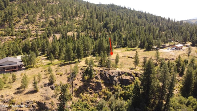 869 Eagle Ridge Ln, Kingston, ID 83839