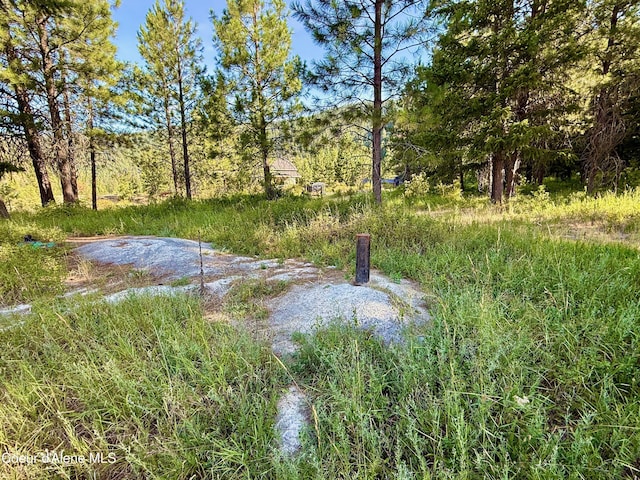 869 Eagle Ridge Ln, Kingston, ID 83839