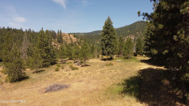 869 Eagle Ridge Ln, Kingston, ID 83839
