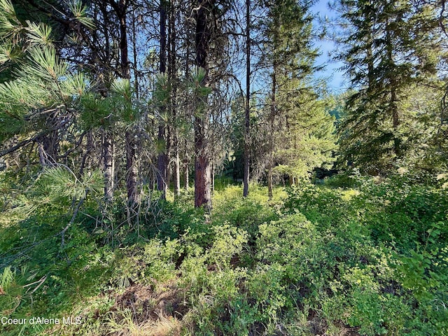 869 Eagle Ridge Ln, Kingston, ID 83839