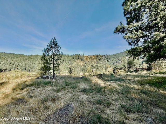 869 Eagle Ridge Ln, Kingston, ID 83839