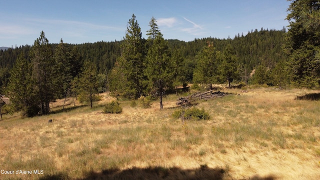 869 Eagle Ridge Ln, Kingston, ID 83839