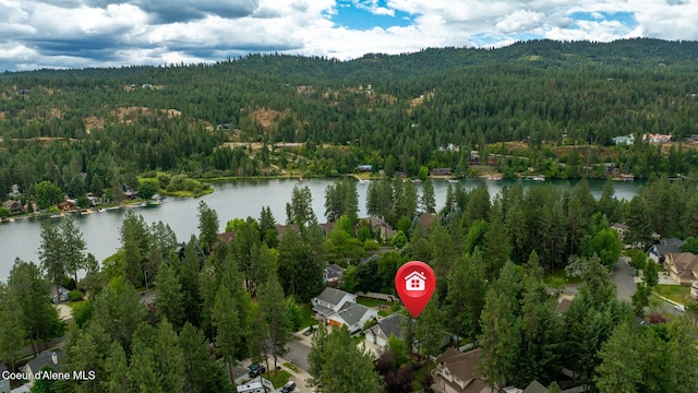 5188 E Twila Ct, Post Falls, ID 83854 - aerial view of property and surrounding area with a heavily wooded area and a nearby body of water