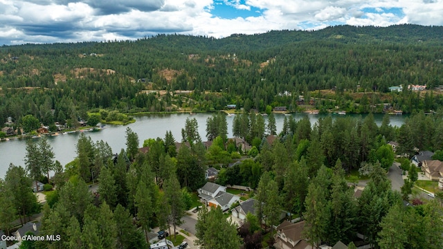 5188 E Twila Ct, Post Falls, ID 83854 - bird's eye view of a forest and a nearby body of water