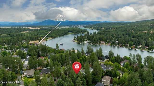 5188 E Twila Ct, Post Falls, ID 83854 - drone / aerial view of a forest and a water and mountain view