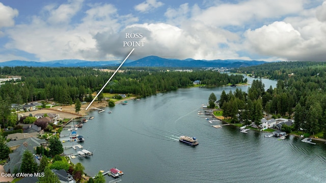 5188 E Twila Ct, Post Falls, ID 83854 - aerial view of a forest and a water and mountain view