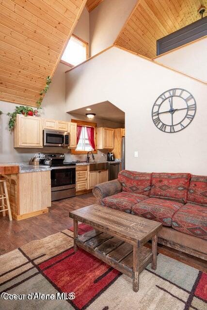 11 Elk Horn, Clark Fork, ID 83811 - living area with high vaulted ceiling, dark wood-type flooring, and wood ceiling