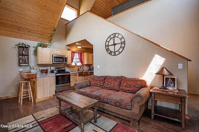 11 Elk Horn, Clark Fork, ID 83811 - living room with dark wood finished floors and high vaulted ceiling