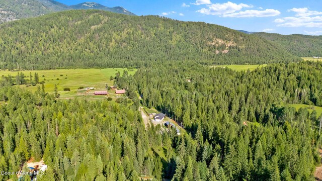 648 Curley Creek Rd, Moyie Springs, ID 83845 - photo 53