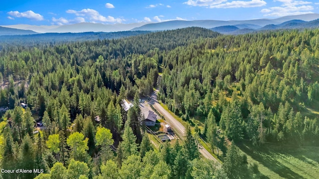 648 Curley Creek Rd, Moyie Springs, ID 83845 - photo 56