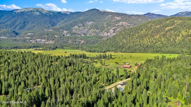 648 Curley Creek Rd, Moyie Springs, ID 83845 - photo 59